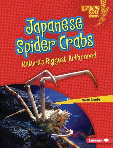 Cover image for Japanese Spider Crabs