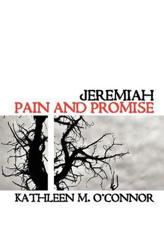 Cover image for Jeremiah: Pain and Promise