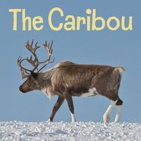 Cover image for The Caribou: English Edition