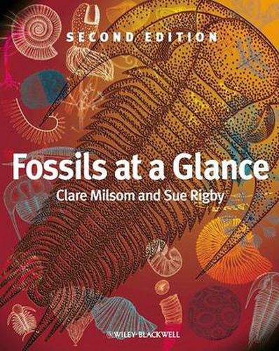 Cover image for Fossils at a Glance