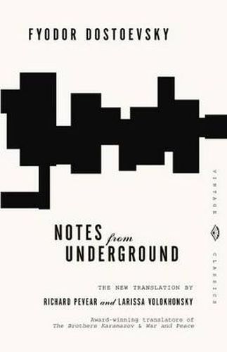 Cover image for Notes from Underground