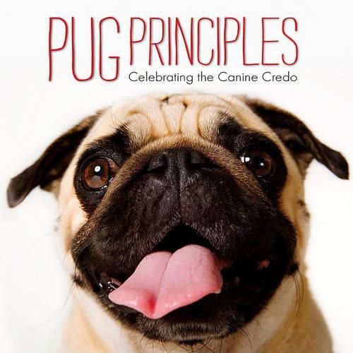 Cover image for Pug Principles