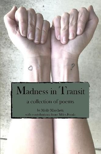 Cover image for Madness in Transit