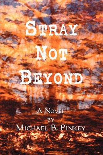 Cover image for Stray Not Beyond