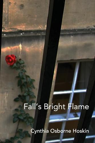 Cover image for Fall's Bright Flame: A Coming of (Middle) Age Tale