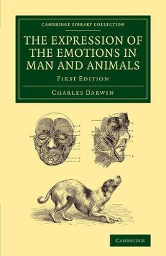 Cover image for The Expression of the Emotions in Man and Animals