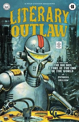 Cover image for Literary Outlaw #11