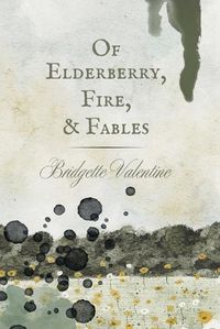 Cover image for Of Elderberry, Fire, & Fables