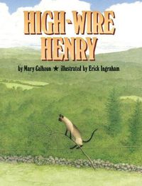 Cover image for High-Wire Henry