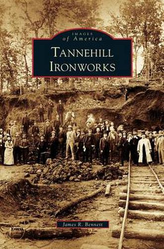 Cover image for Tannehill Ironworks