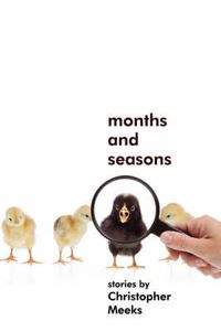 Cover image for Months and Seasons