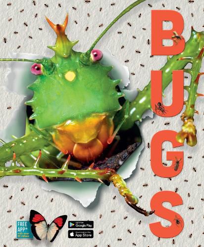 Cover image for Bugs