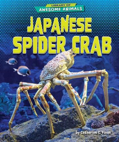 Cover image for Japanese Spider Crab
