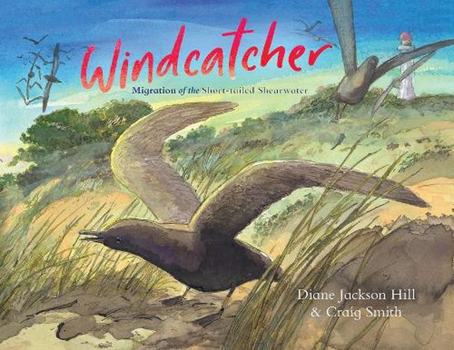 Cover image for Windcatcher