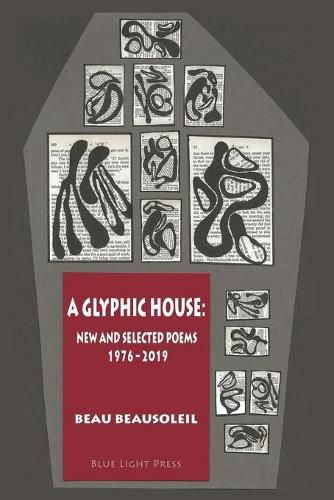 Cover image for A Glyphic House: New and Selected Poems 1976 - 2019