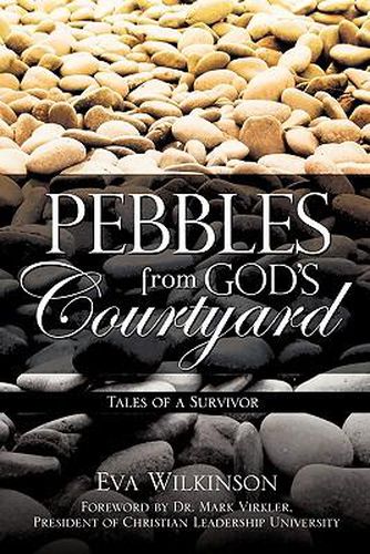 Cover image for Pebbles From God's Courtyard