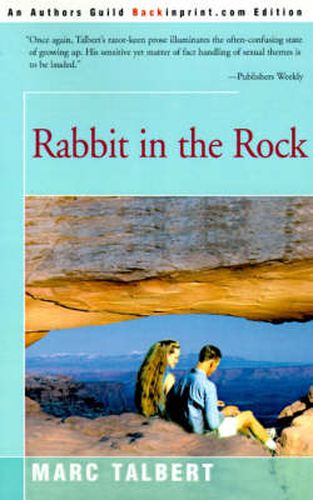 Cover image for Rabbit in the Rock