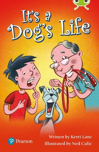 Cover image for Bug Club Lime Plus B It's a Dog's Life