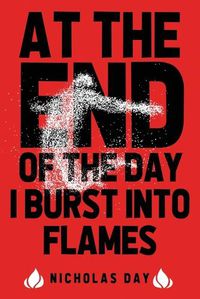 Cover image for At The End Of The Day I Burst Into Flames