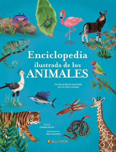 Cover image for Enciclopedia ilustrada de los animales: Un maravilloso recorrido por el reino animal / The Illustrated Encyclopedia of Animals