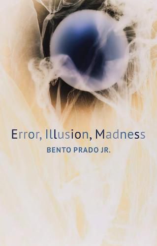 Cover image for Error, Illusion, Madness