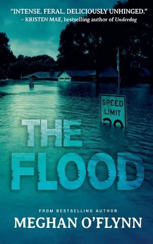 Cover image for The Flood