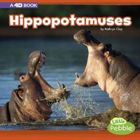 Cover image for Hippopotamuses: A 4D Book