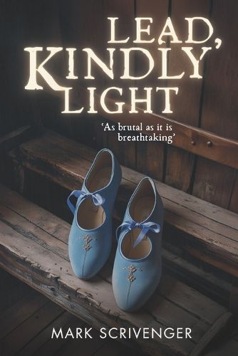 Cover image for Lead, Kindly Light
