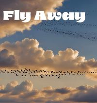 Cover image for Fly Away