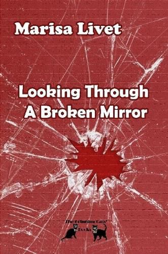 Cover image for Looking Through A Broken Mirror