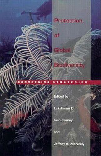 Cover image for Protection of Global Biodiversity: Converging Strategies