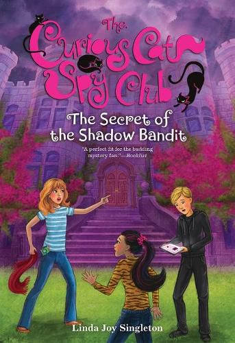 Cover image for The Secret of the Shadow Bandit