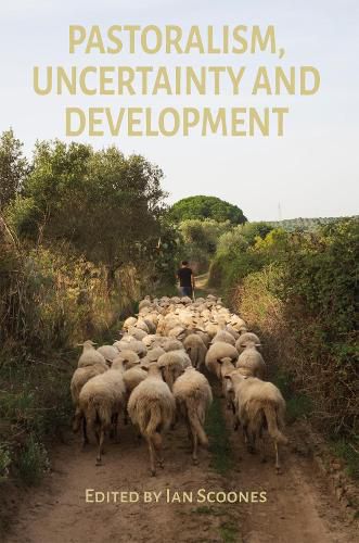 Cover image for Pastoralism, Uncertainty and Development