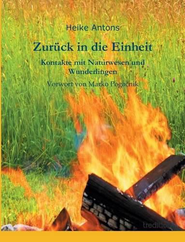 Cover image for Zuruck in die Einheit: Kontakte mit Naturwesen und Wunderlingen
