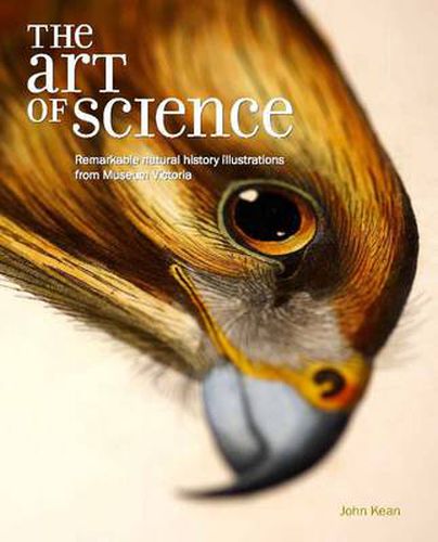 Cover image for The Art of Science: Remarkable Natural History Illustrations from Museum Victoria