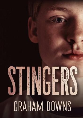 Cover image for Stingers