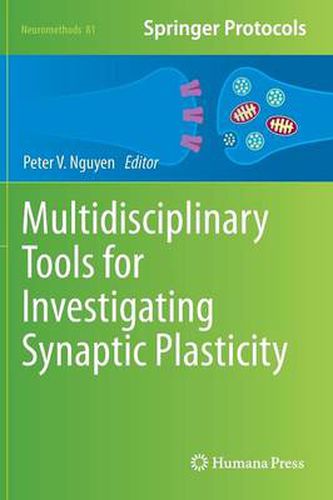 Cover image for Multidisciplinary Tools for Investigating Synaptic Plasticity