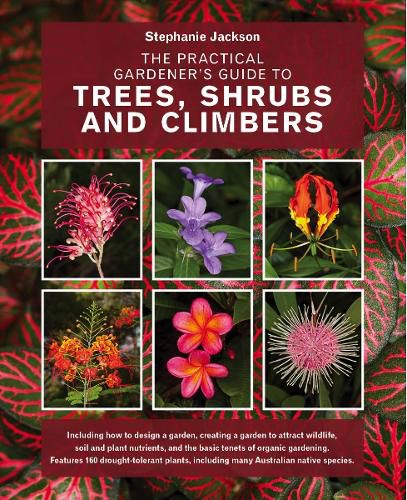 Cover image for The Practical Gardener's Guide to Trees, Shrubs and Climbers