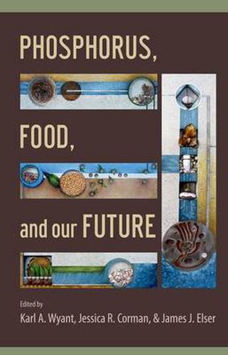 Cover image for Phosphorus, Food, and Our Future