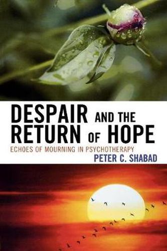 Cover image for Despair and the Return of Hope: Echoes of Mourning in Psychotherapy