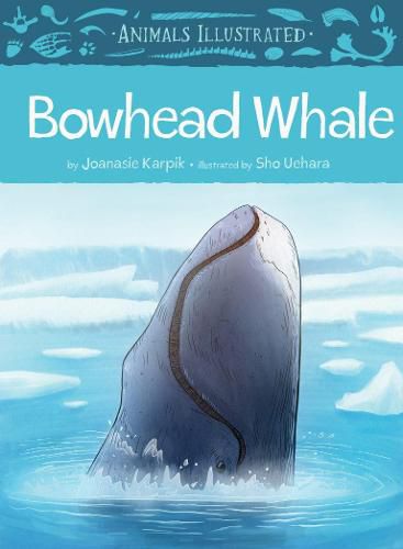 Cover image for Animals Illustrated: Bowhead Whale