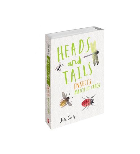 Heads And Tails Insects Match It Cards