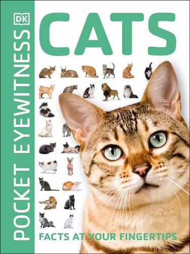 Cats: Facts at Your Fingertips