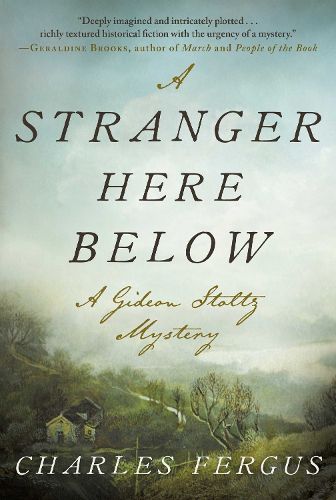 Cover image for A Stranger Here Below: A Gideon Stoltz Mystery