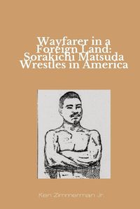 Cover image for Wayfarer in a Foreign Land