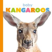 Cover image for Baby Kangaroos