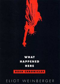 Cover image for What Happened Here: Bush Chronicles: Current Affairs