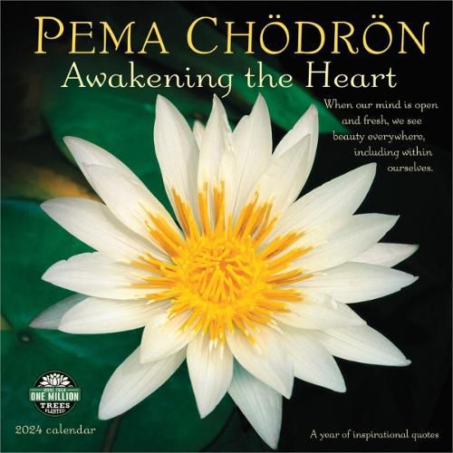Cover image for Pema Chodron 2024 Wall Calendar