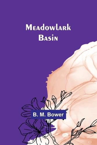 Cover image for Meadowlark Basin