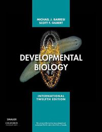 Cover image for Developmental Biology